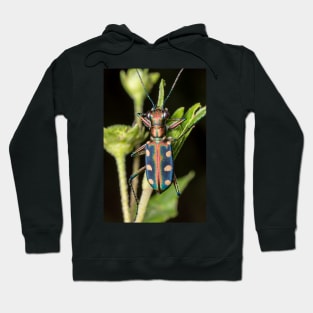 Unique and organic photo of a tiger beetle Hoodie